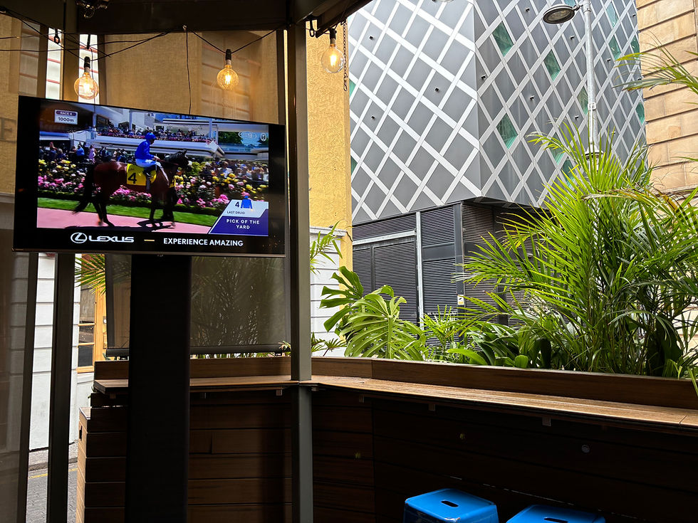TV Hire Adelaide TV with Melbourne Cup