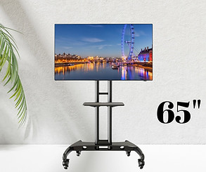 65_ TV on Portable TV Stand.jpeg