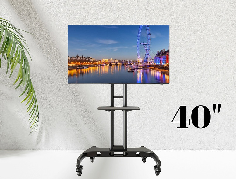 40_ TV on Portable TV Stand.jpeg