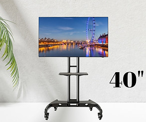 40_ TV on Portable TV Stand.jpeg