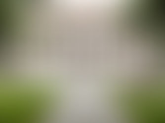 CommonApp新报告:今年申请美本的国际学生超10万!近一半学生提交标化成绩!