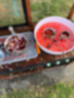 Flower play idea for kids in the mud kitchen using flowers, water and gelatine