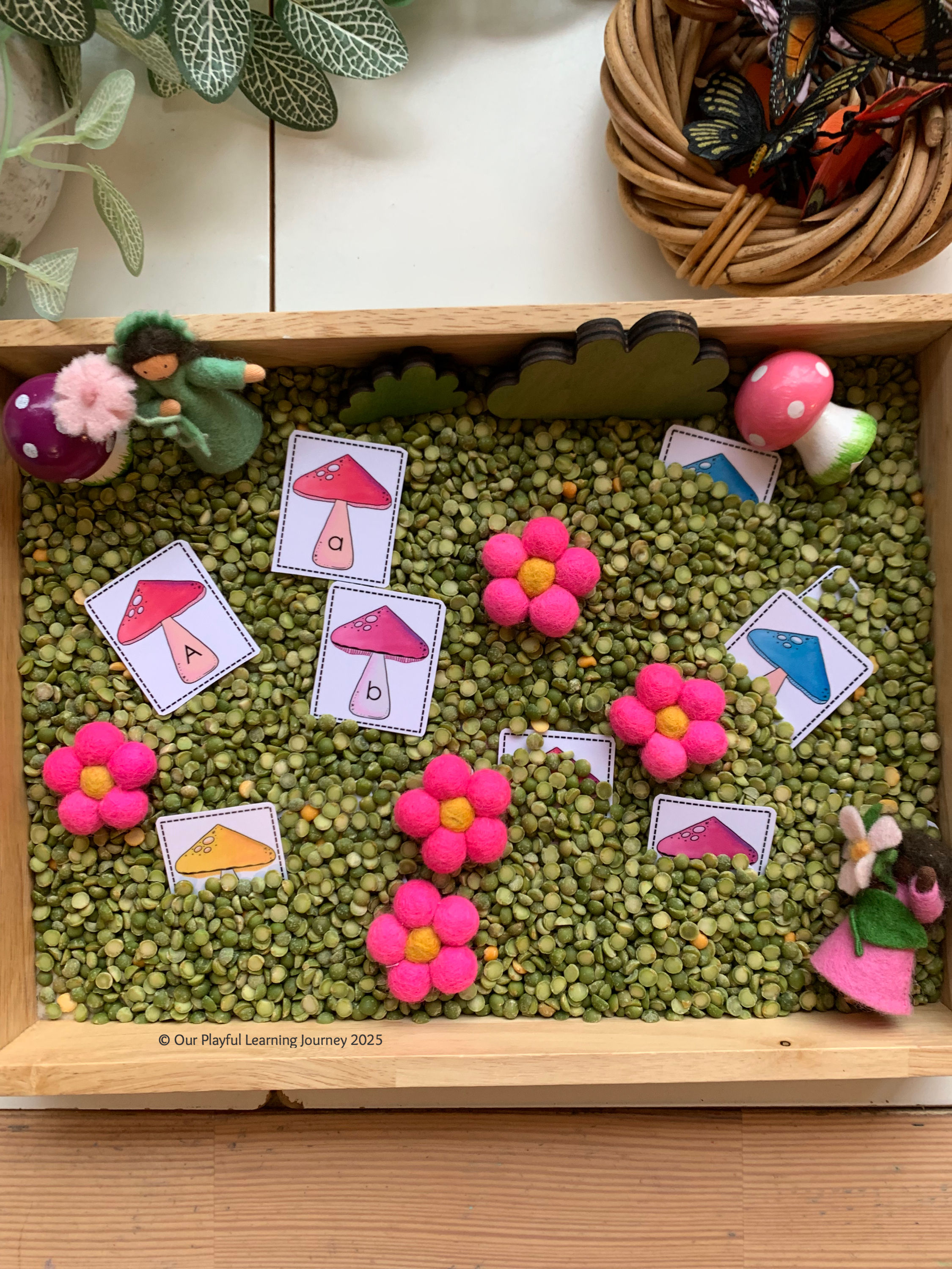 Alphabet letter cards with mini toadstools in a sensory play tray for kids. Hands on learning through play in the early years