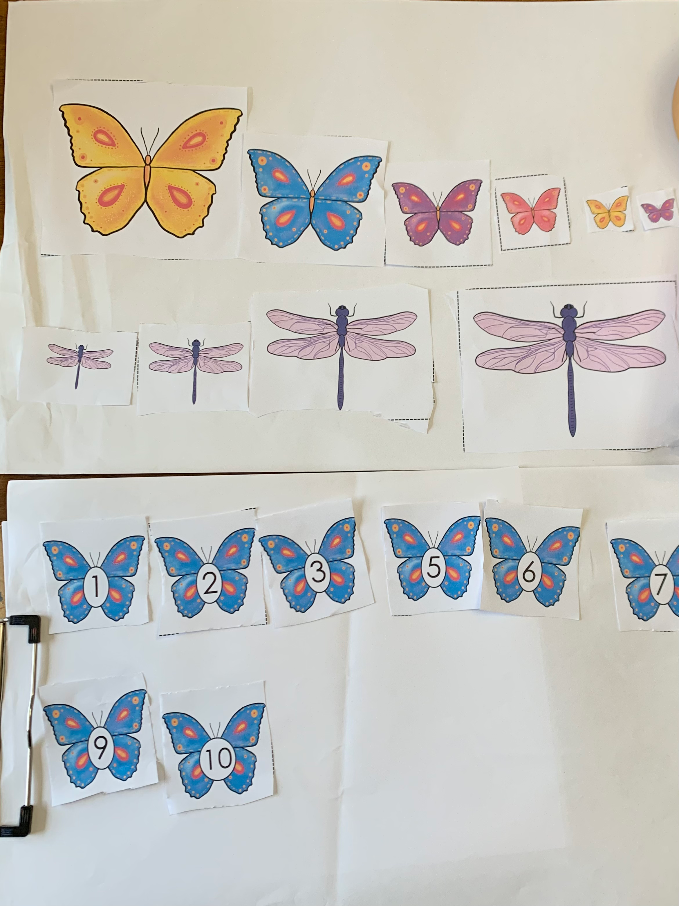 early years maths printable for kids - bugs and insects patterning, number ordering comparing size