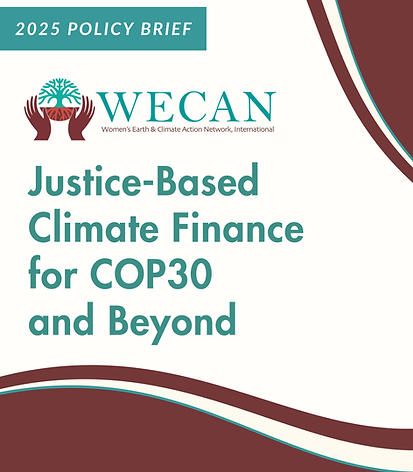 [EN] climate finance cover page.png
