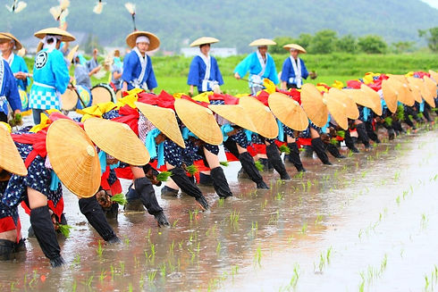 rice-planting.jpg
