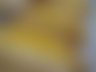 2019.9.19(Thu)