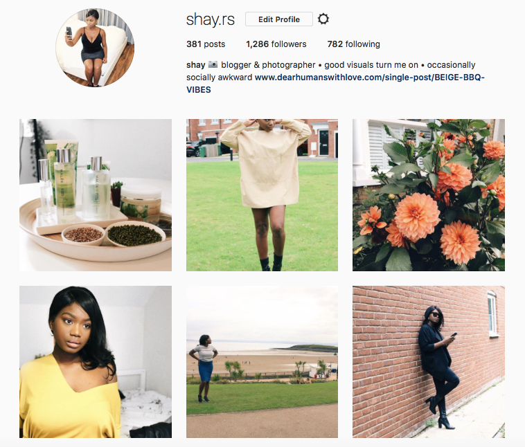 @shay.rs