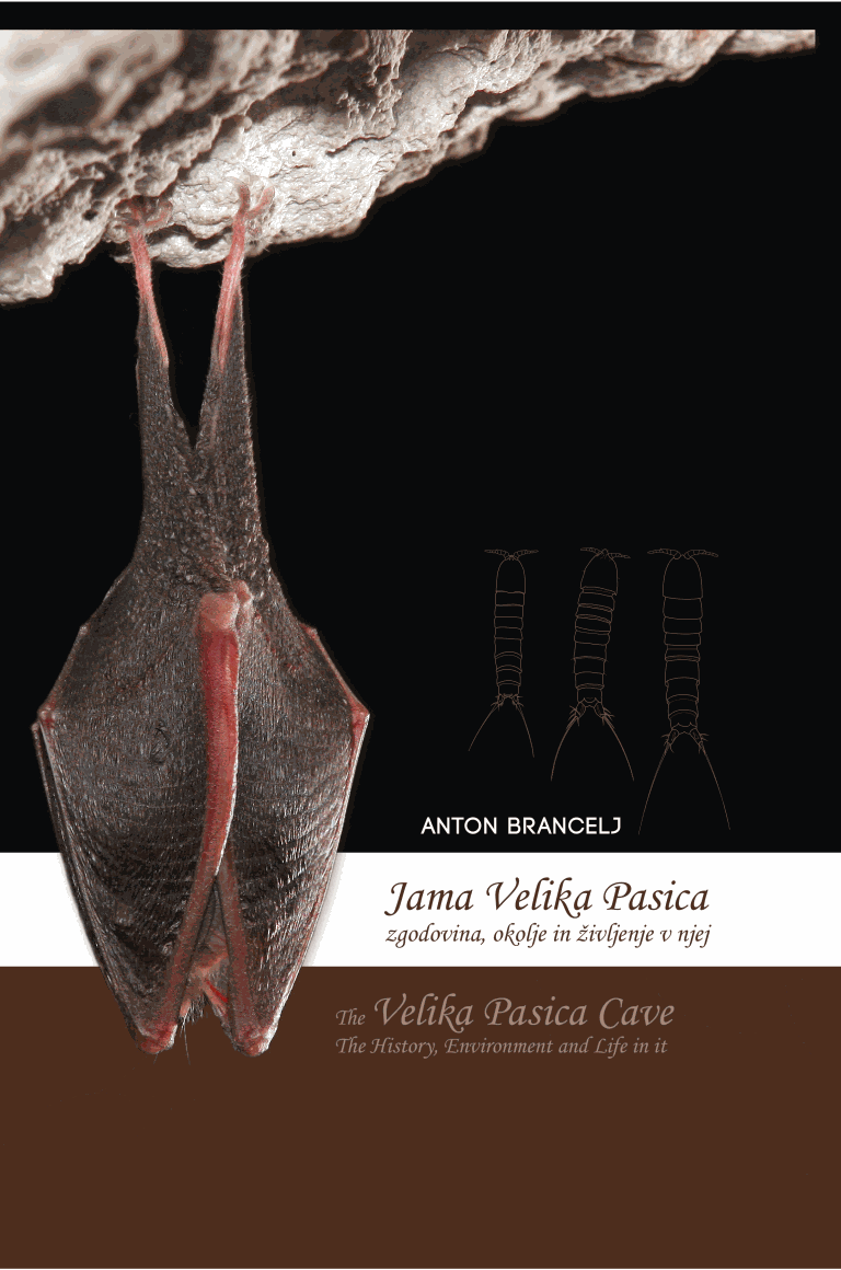 Jama Velika Pasica = The Cave Velika Pasica