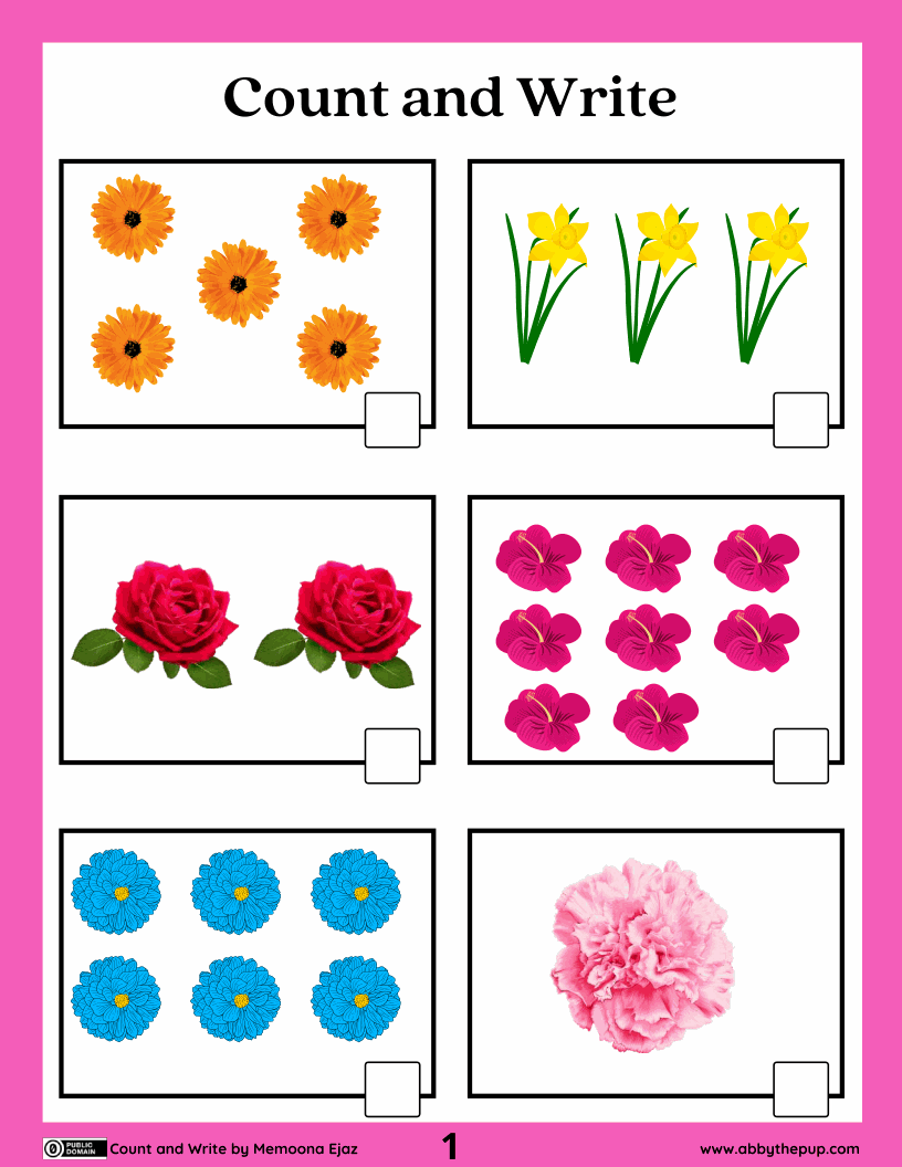 Count and Write (25p)