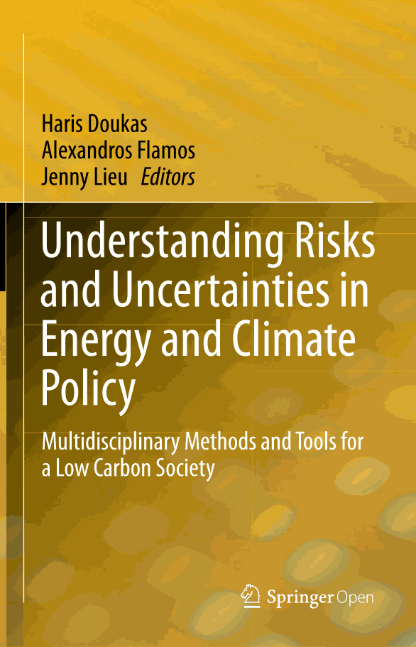 Understanding Risks and Uncertainties in Energy and Climate Policy