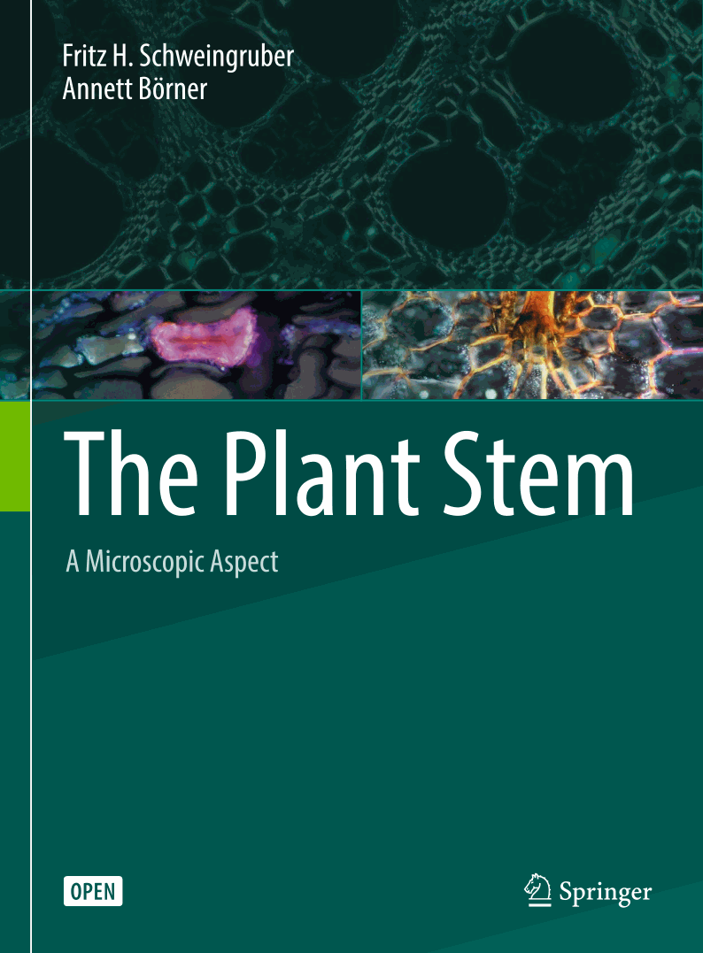 The Plant Stem: A Microscopic Aspect