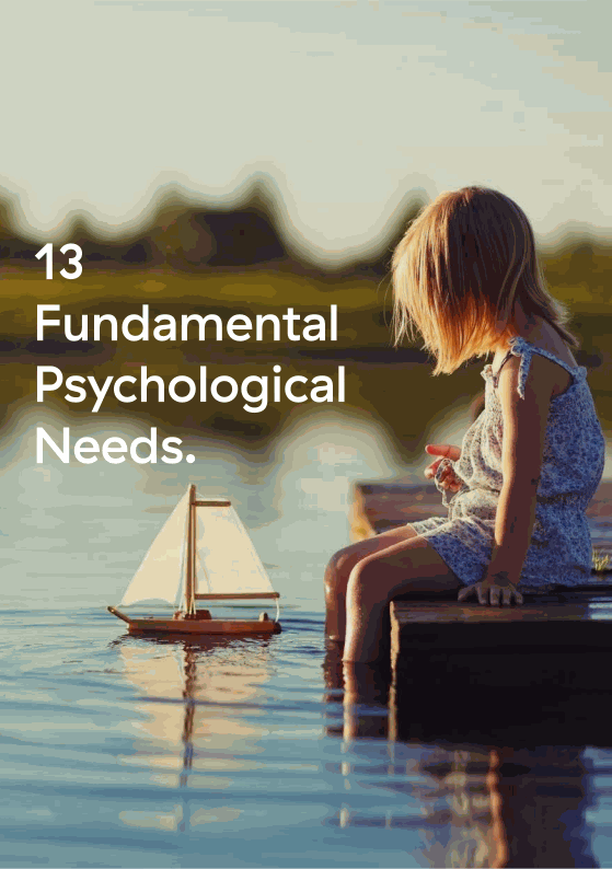 Thirteen Fundamental Psychological Needs