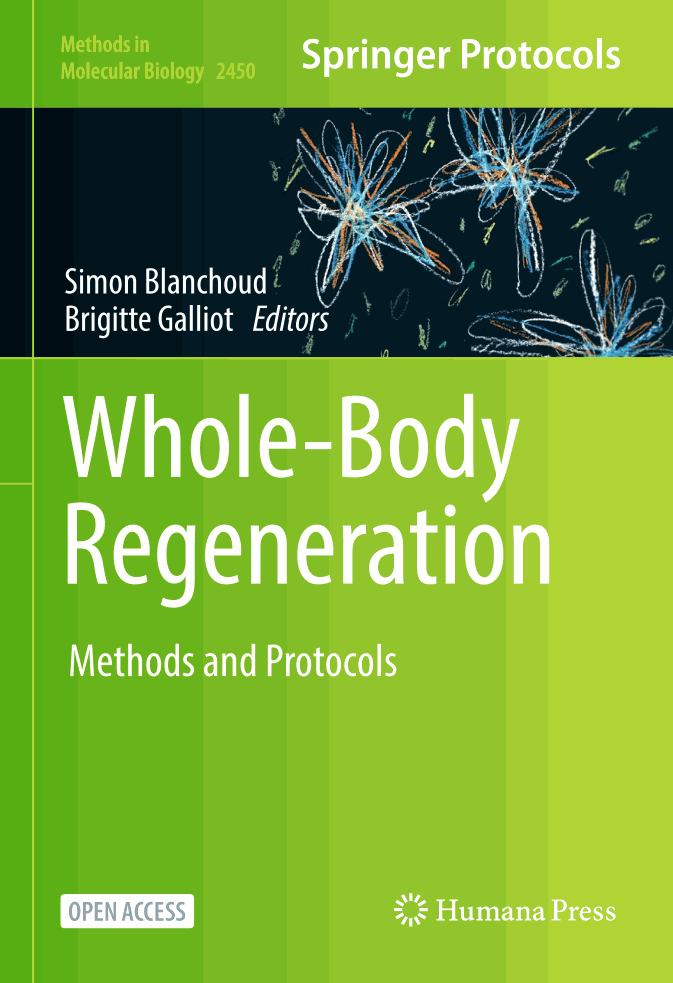 Whole-Body Regeneration
