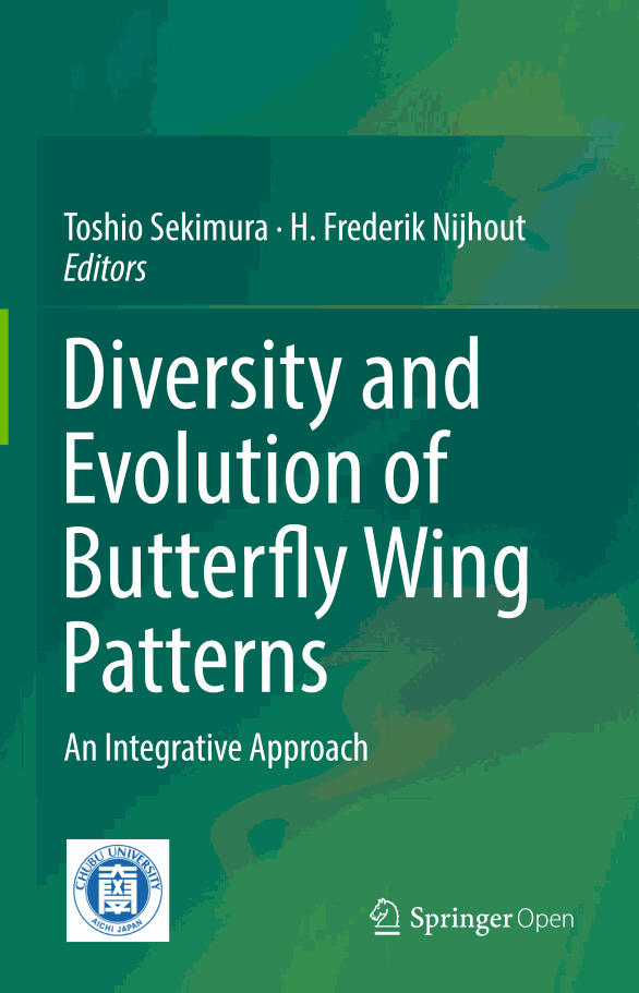 Diversity and Evolution of Butterfly Wing Patterns: An Integrative Approach
