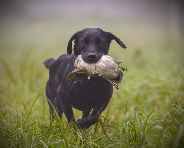 ERC 2024_2_edited.jpg