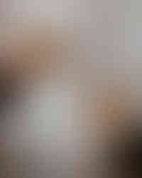 SAH00156.jpg