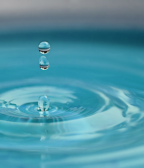 transparence services