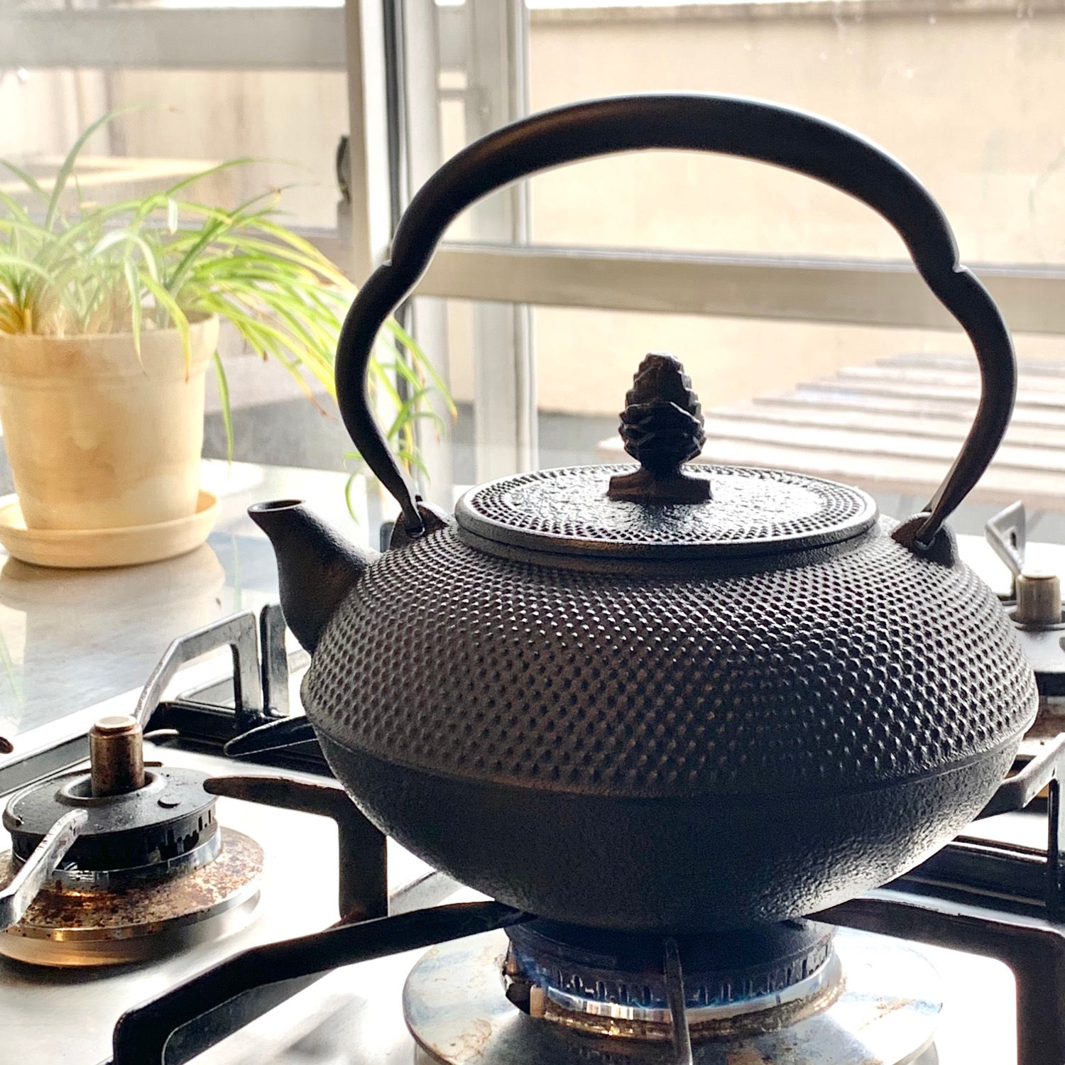 南部鉄器 岩鋳 鉄瓶 平六アラレ 14型 1.3L