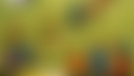 פעילות ODT מעבר מחושב