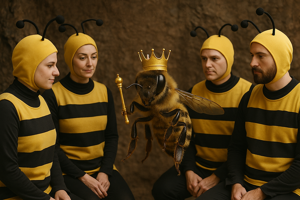 מושבת דבורים