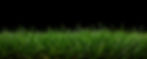 21403D4B-C13F-4B9D-8E33-0B128510F08A_edited.jpg