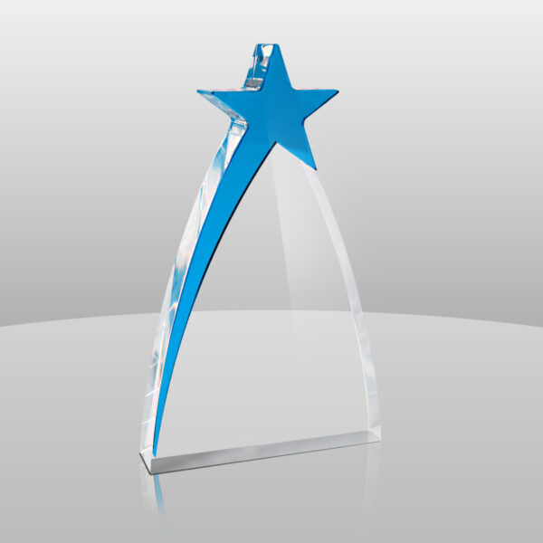 Thumbnail: New Star Award