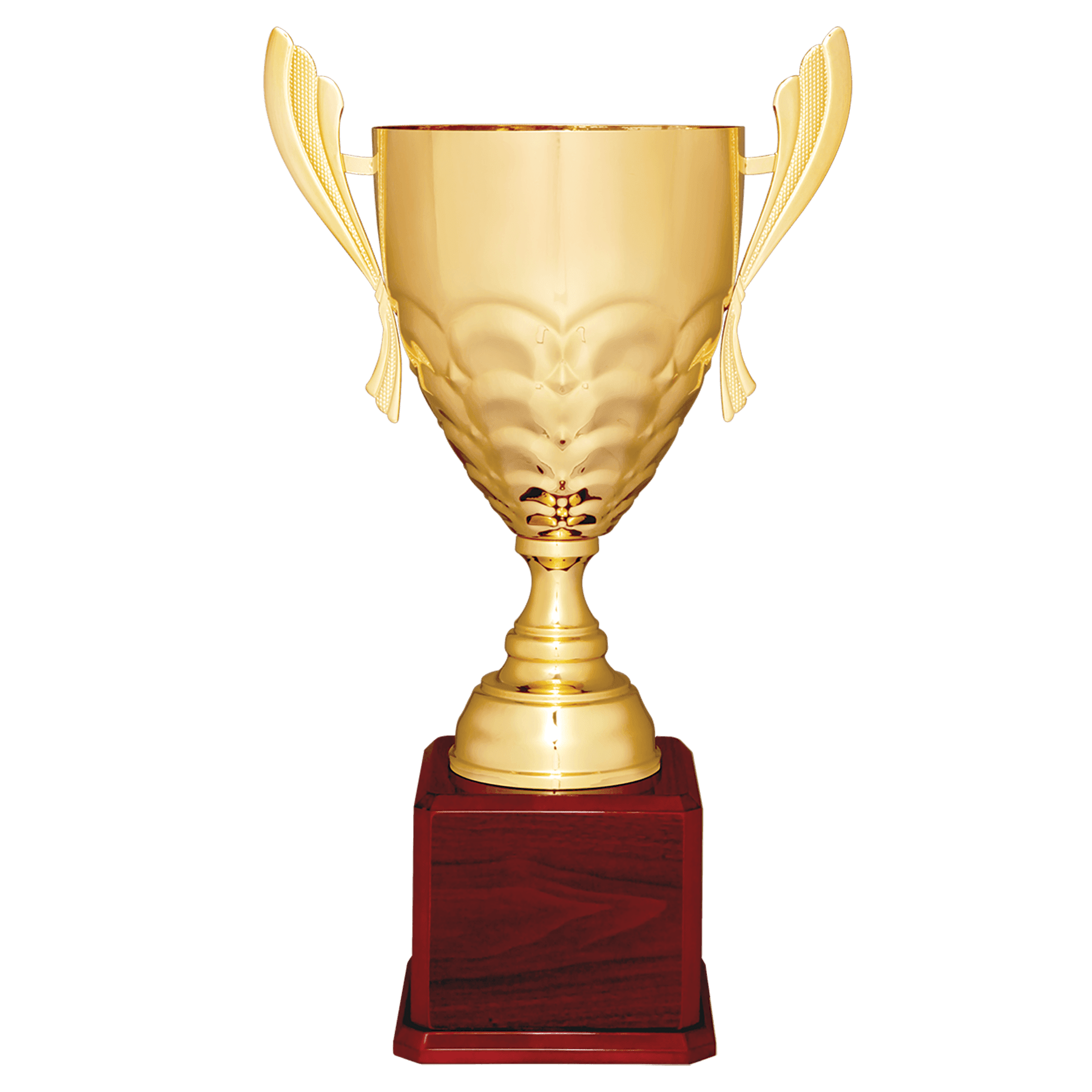 Metal Cup Trophy Wing Handle