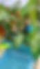 ChatGPT Image 28 avr_edited.png