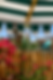 ChatGPT Image 28 avr. 2026 à 23_01_52.png