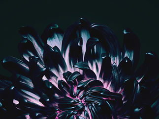 The Contortionist - 'Our Bones' EP Review