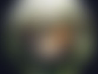 Blossoms Return With New Single 'Jokes About Divorce'