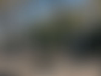 Neck Deep Mark Album Release Day With A Music Video For 'Dumbstruck Dumbf**k'