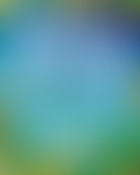 Spotlight: Kendal Calling 2023 Preview