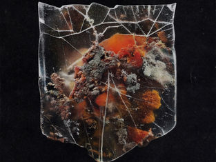 Shields - 'Death & Connection' Album Review 