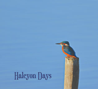 Halcyon Days – 'Halcyon Days' Album Review