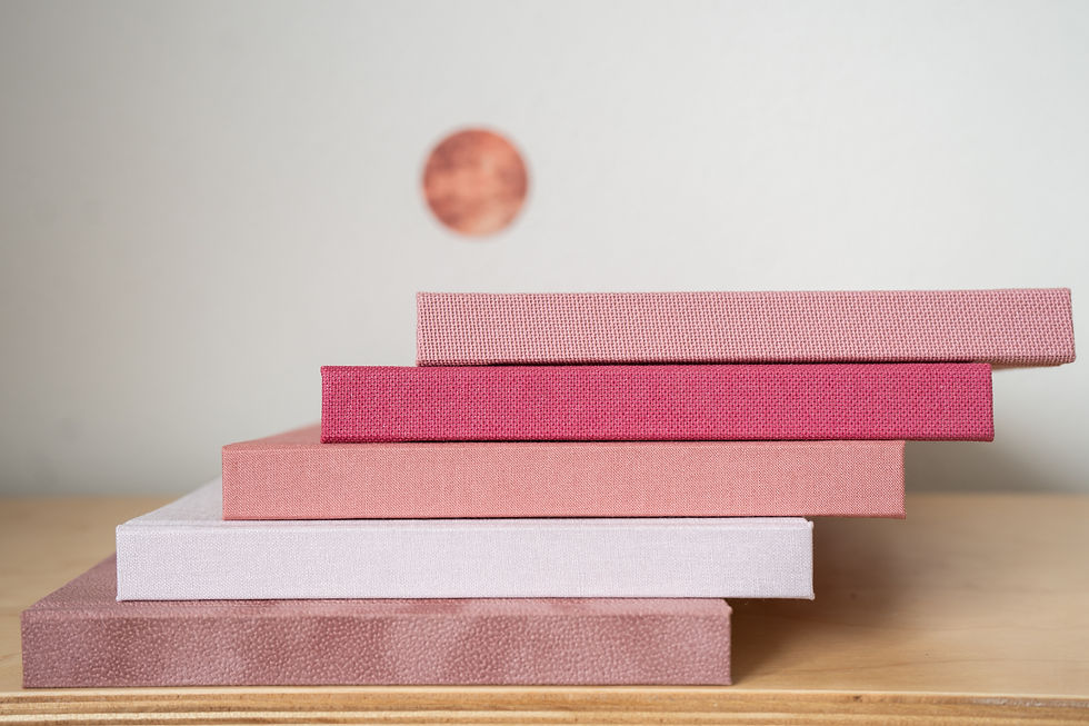 Mini Fotoalbum - Rosa