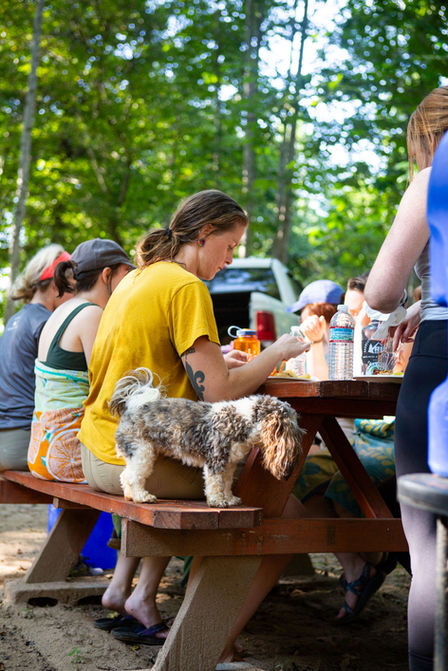 People sitting at picnic table eating with a dog standing on the bench