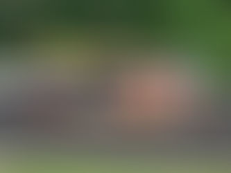 Strand and Rodin Earn Tour Wins, Amelia Eisenschenk Picks Up 1st Victory at NCR