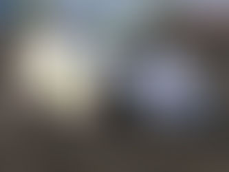 Shipley, Grager, Eckerdt, Hagemann Win at Red River Valley Speedway