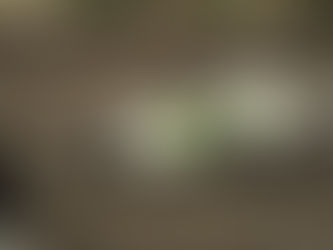 Shipley Captures Bison Battle at Red River Valley Speedway