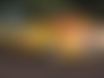 Schulz Wins 2nd Straight at RRVS; 1st Career Win for Johanson; Thoennes, Gronwold, Weight Stay Hot