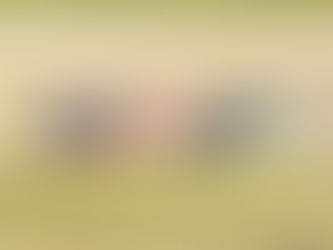 If I Ran the Show...