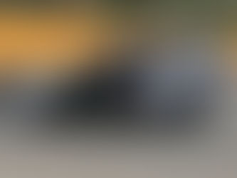 Bitzan, Satter, Saurer Brothers, Robinson Claim Viking Wins