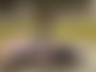 Hall Wins on Last Lap at Corn Cob Nationals; Wilke, Jacobson, Robertson and Huseth Crowned Champs