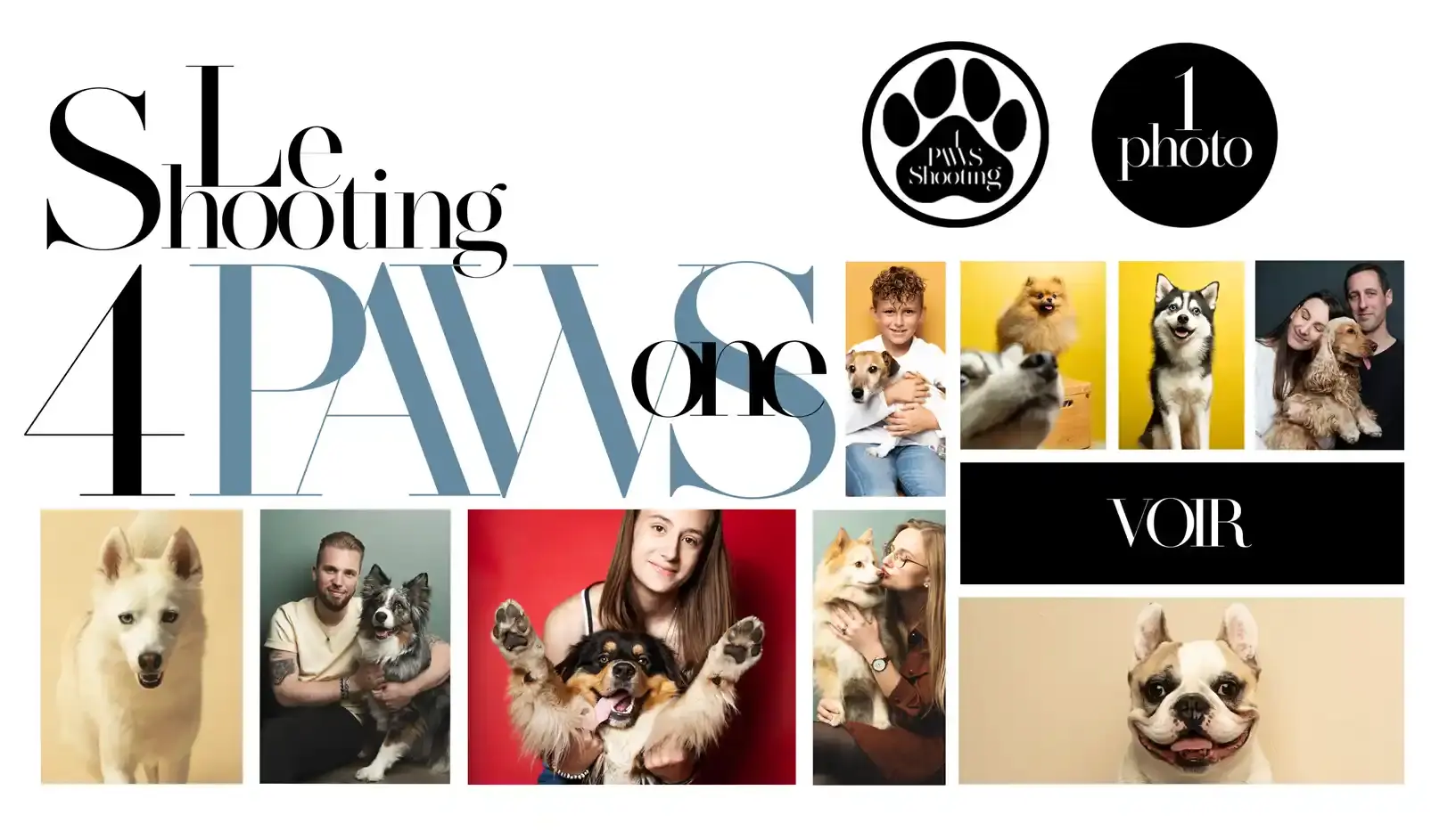 pack shooting "4PAWS" réservez votre séance photo pour animaux de compagnie au studio photo l'IMAGE Lens photographe haut-de-france  photographe animalier  chiens chats loof Lille Paris Arras Bethune