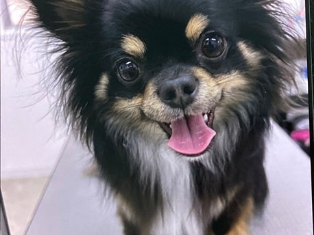 シャンプーモデル🌟