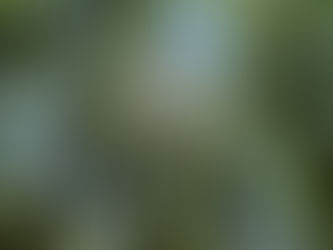 1. Beautiful World  について