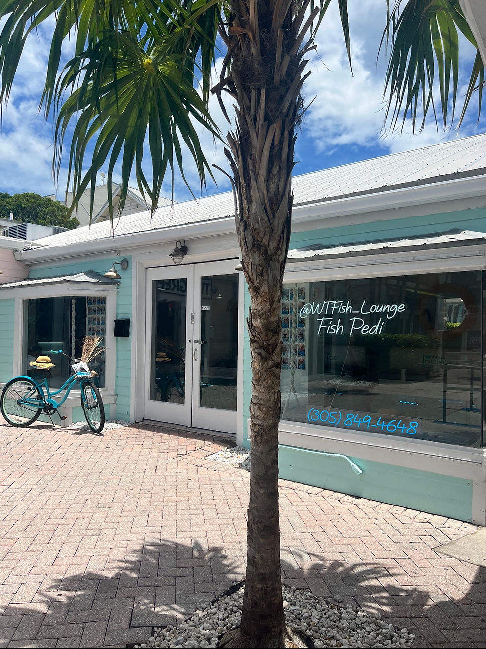 Screenshot 2025-06-04 at 1.28.02 PM.JPEG