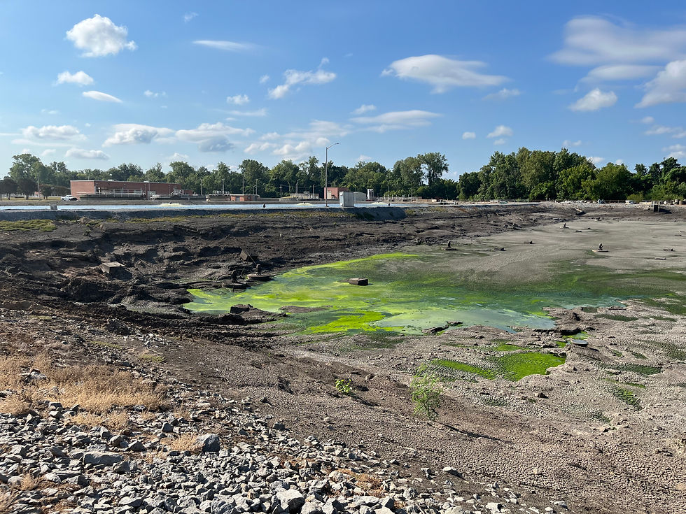 A mostly empty lagoon, dusty brown except in one corner, where the remaining water is green with algae. A full lagoon, red brick buildings, and a line of trees sit in the background, all under a bright, blue sky with a smattering of thin, white clouds.